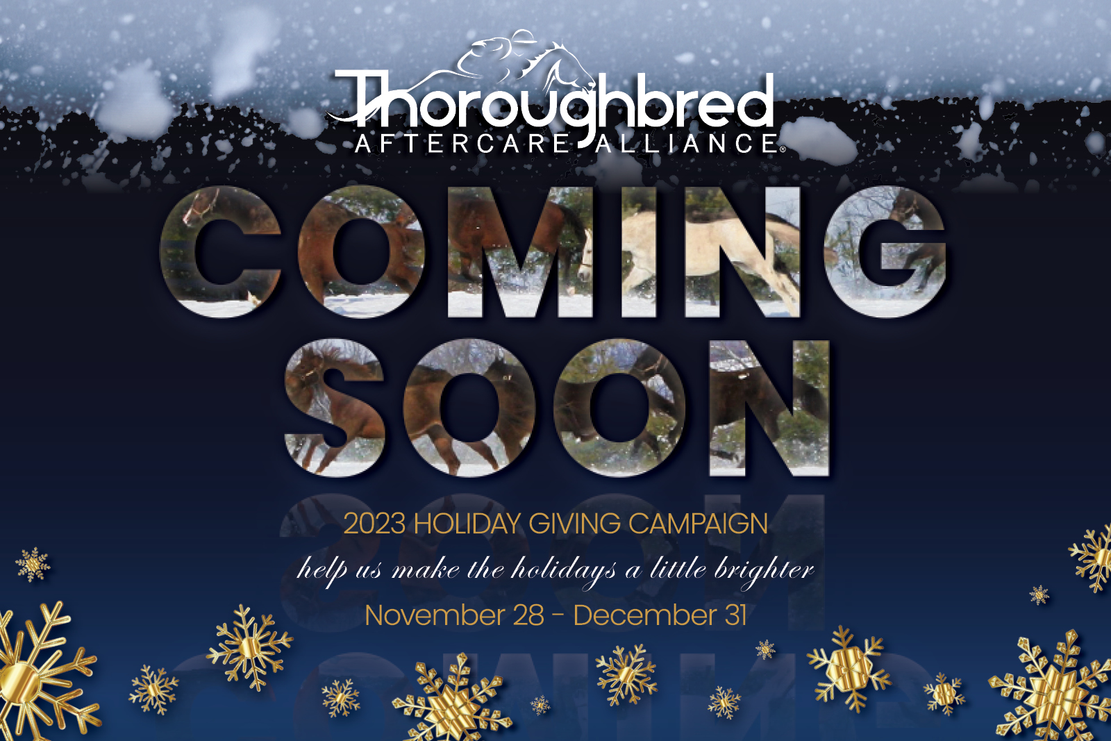 Thoroughbred Aftercare Alliance Announces Holiday Giving Campaign