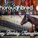Repole Stable Celebrates All Thoroughbreds’ Birthdays with Matching Donation to Thoroughbred Aftercare Alliance