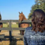 New Directors Elected to Thoroughbred Aftercare Alliance Board