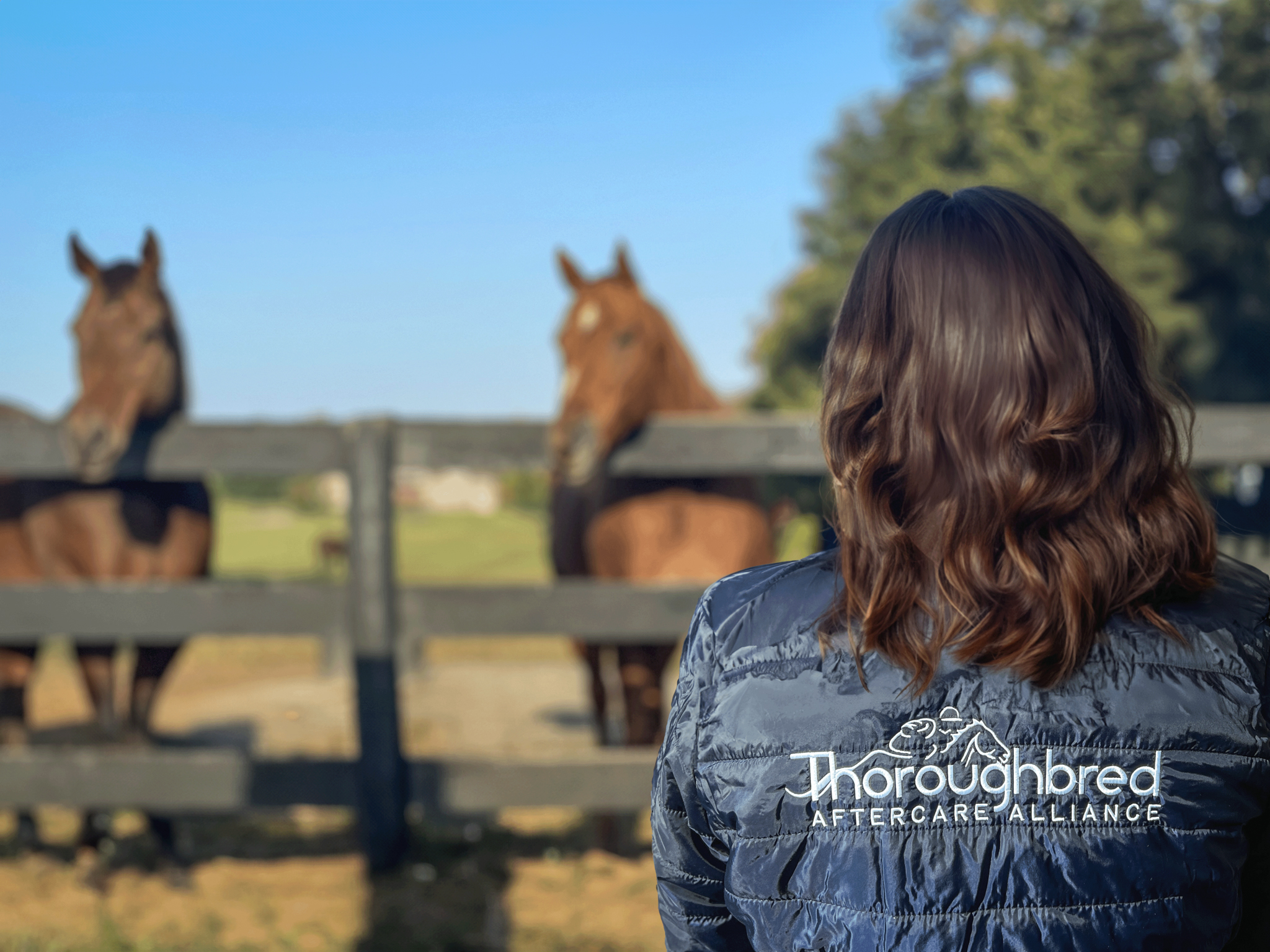 New Directors Elected to Thoroughbred Aftercare Alliance Board