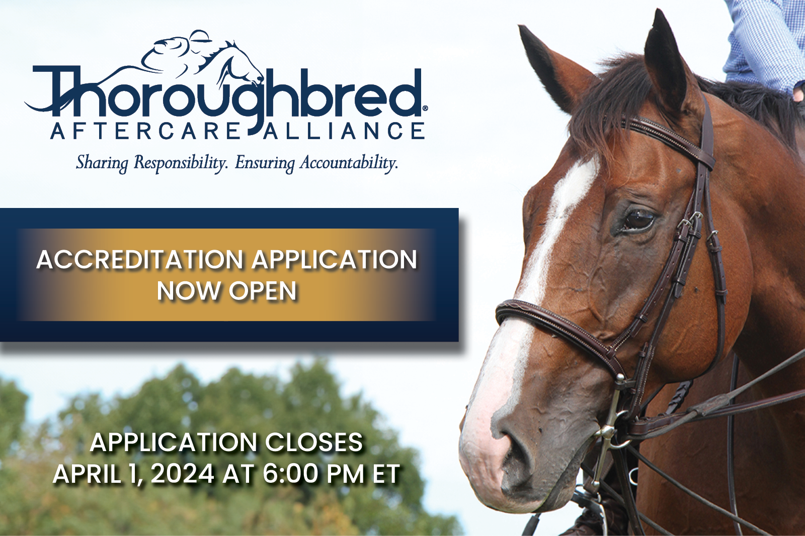 Thoroughbred Aftercare Alliance Announced Accreditation Applications Now Open for 2024