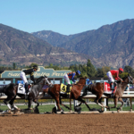 Thoroughbred Aftercare Alliance On-Site for Santa Anita Derby