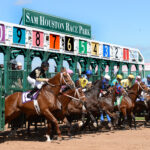 Thoroughbred Aftercare Alliance to be Present at Texas Champions Day