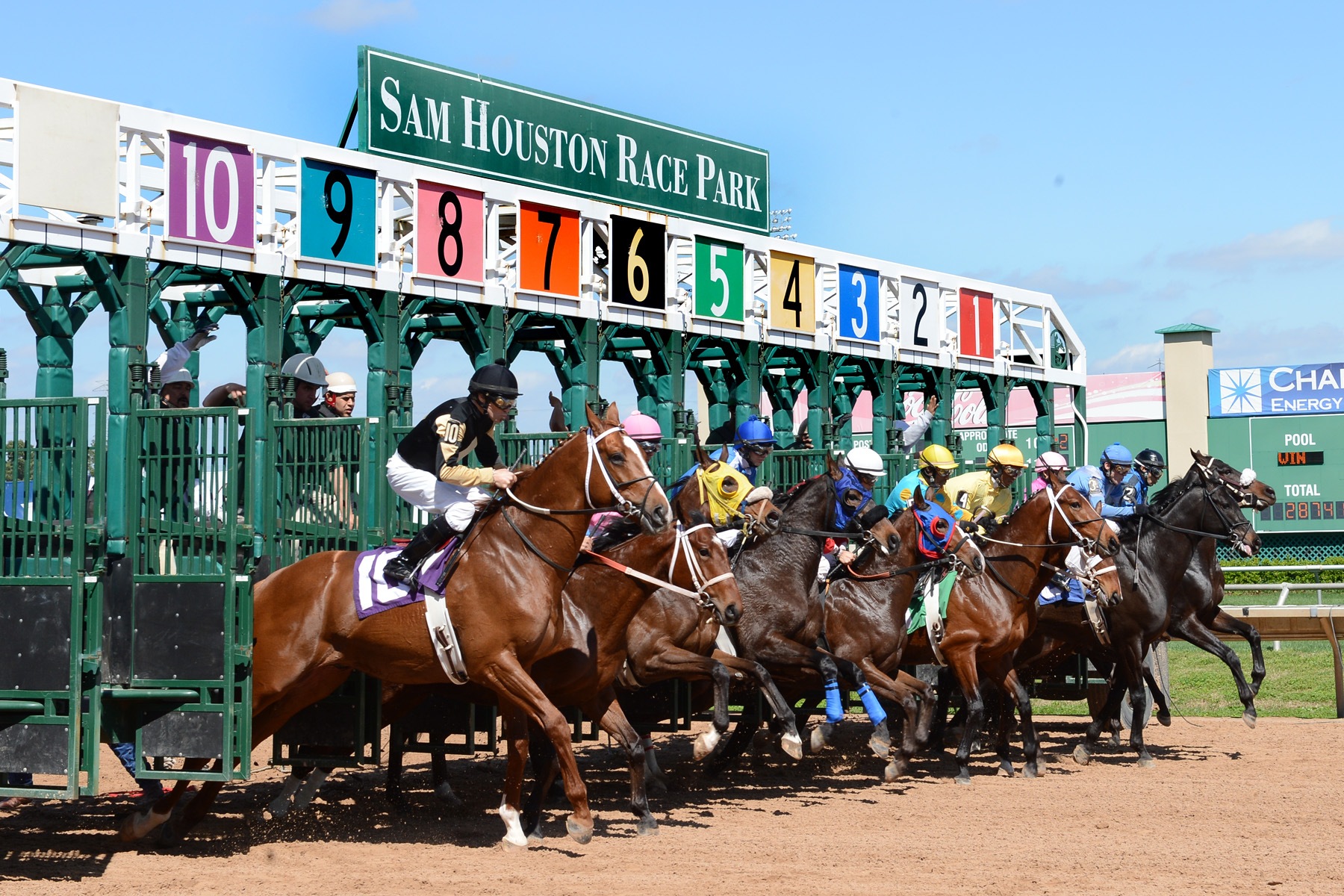 Thoroughbred Aftercare Alliance to be Present at Texas Champions Day