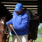 Godolphin’s Commitment to Lifetime Care of Thoroughbreds