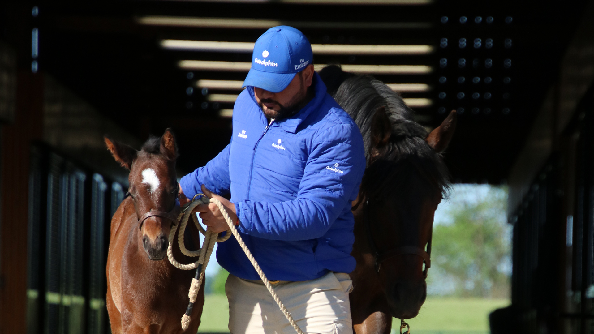Godolphin’s Commitment to Lifetime Care of Thoroughbreds