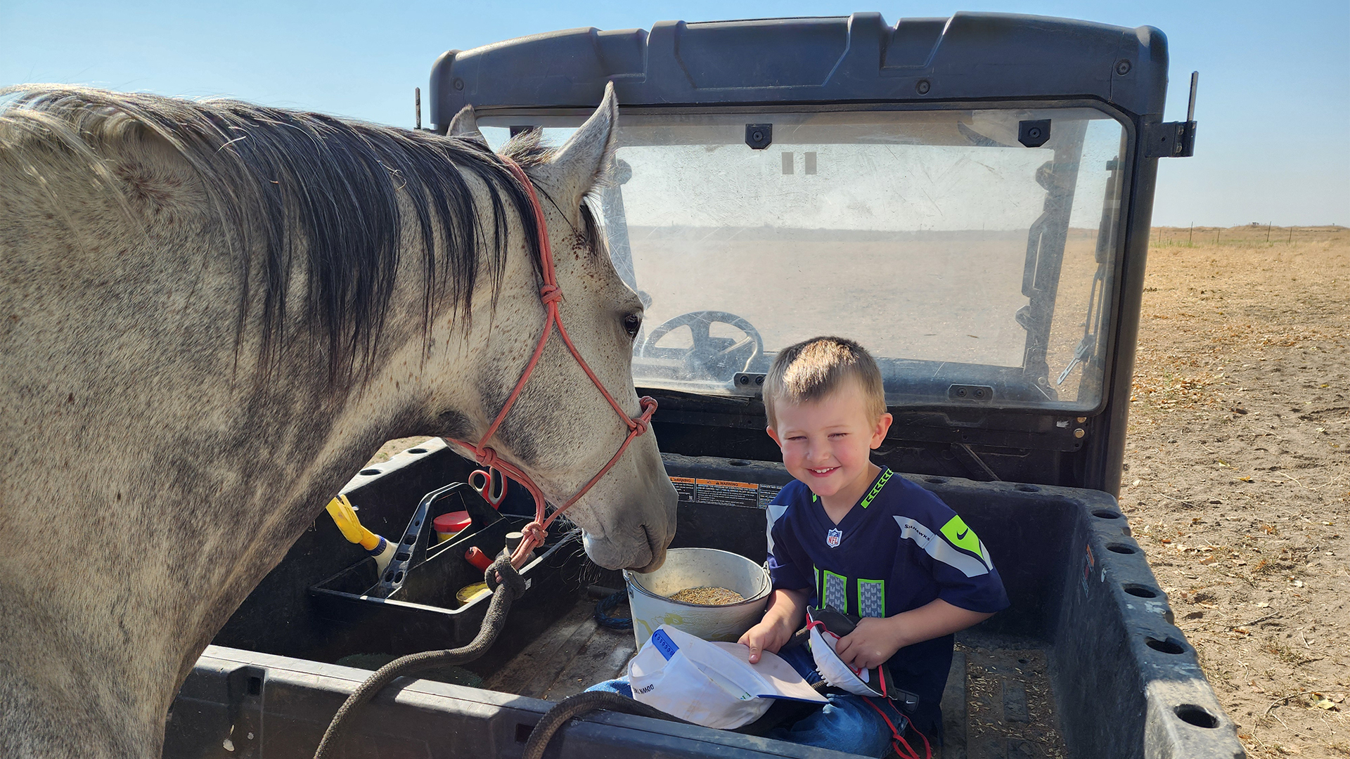 Equine-Assisted Learning: Down the Stretch Ranch