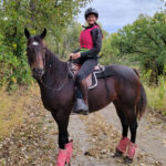 “A Beauty with a Clue”: A Tale of Two Thoroughbreds