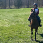 Holy Moses: The Horse Who Changed Everything