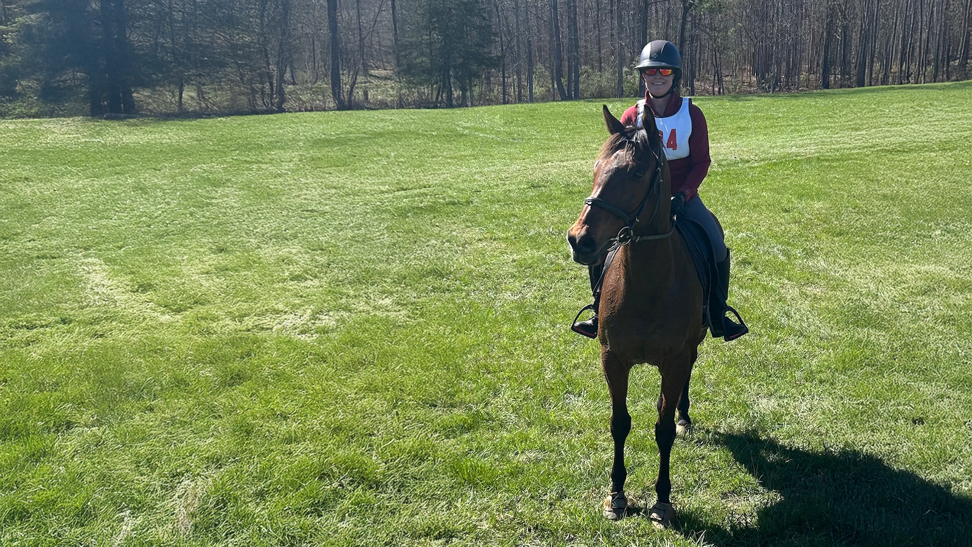 Holy Moses: The Horse Who Changed Everything