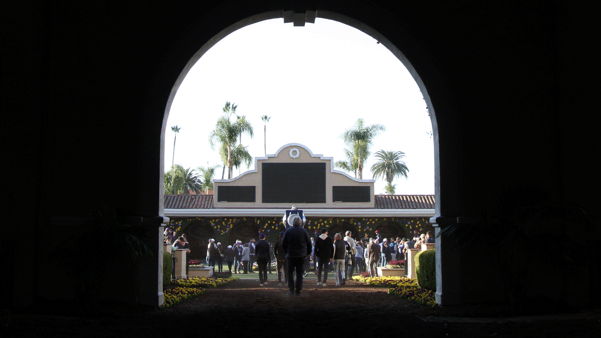 Life After Racing Stands Out at the Pacific Classic