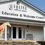 There Were Never Such Devoted Sisters