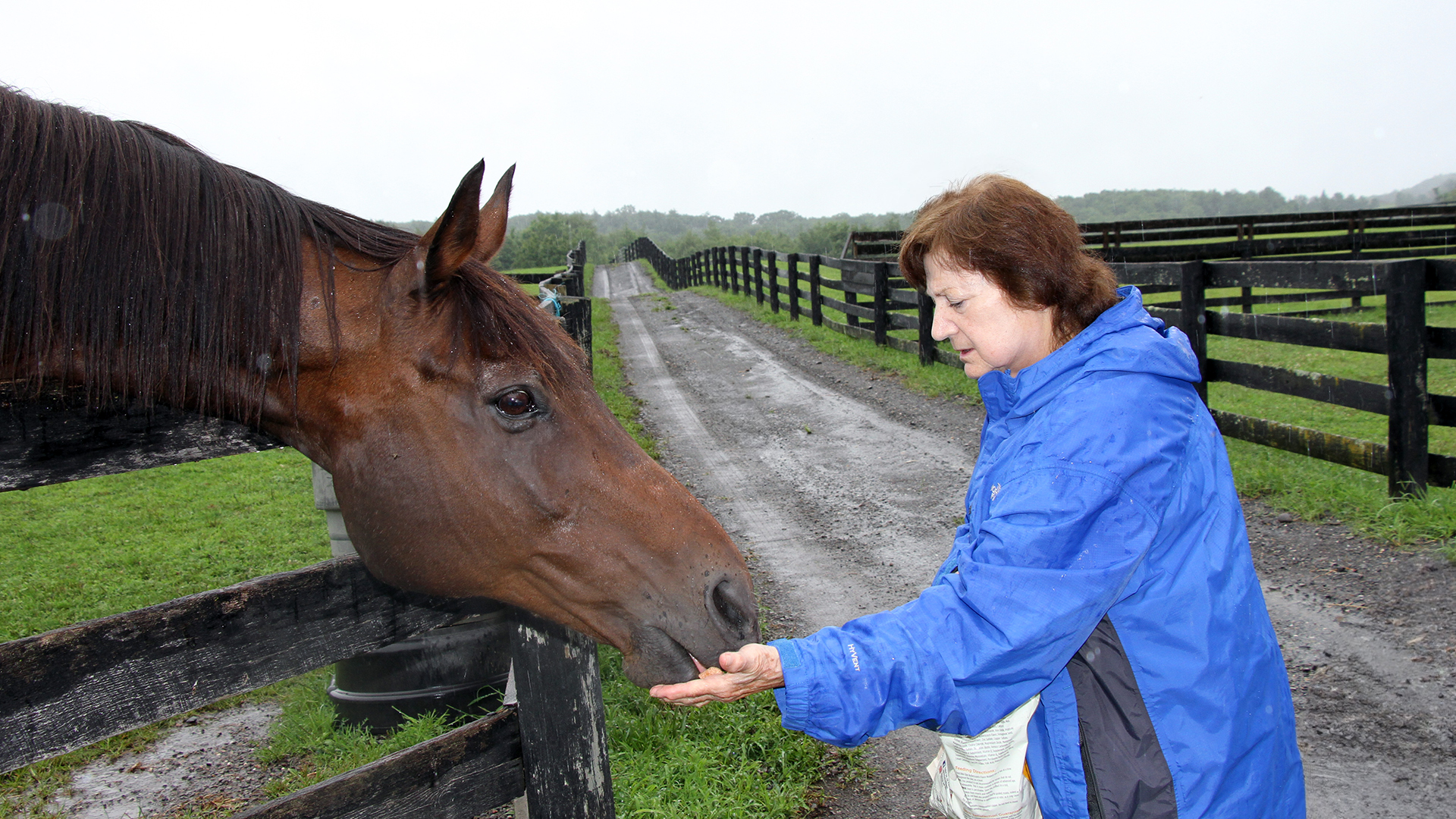 Susan Wagner pictured at Equine Advocates