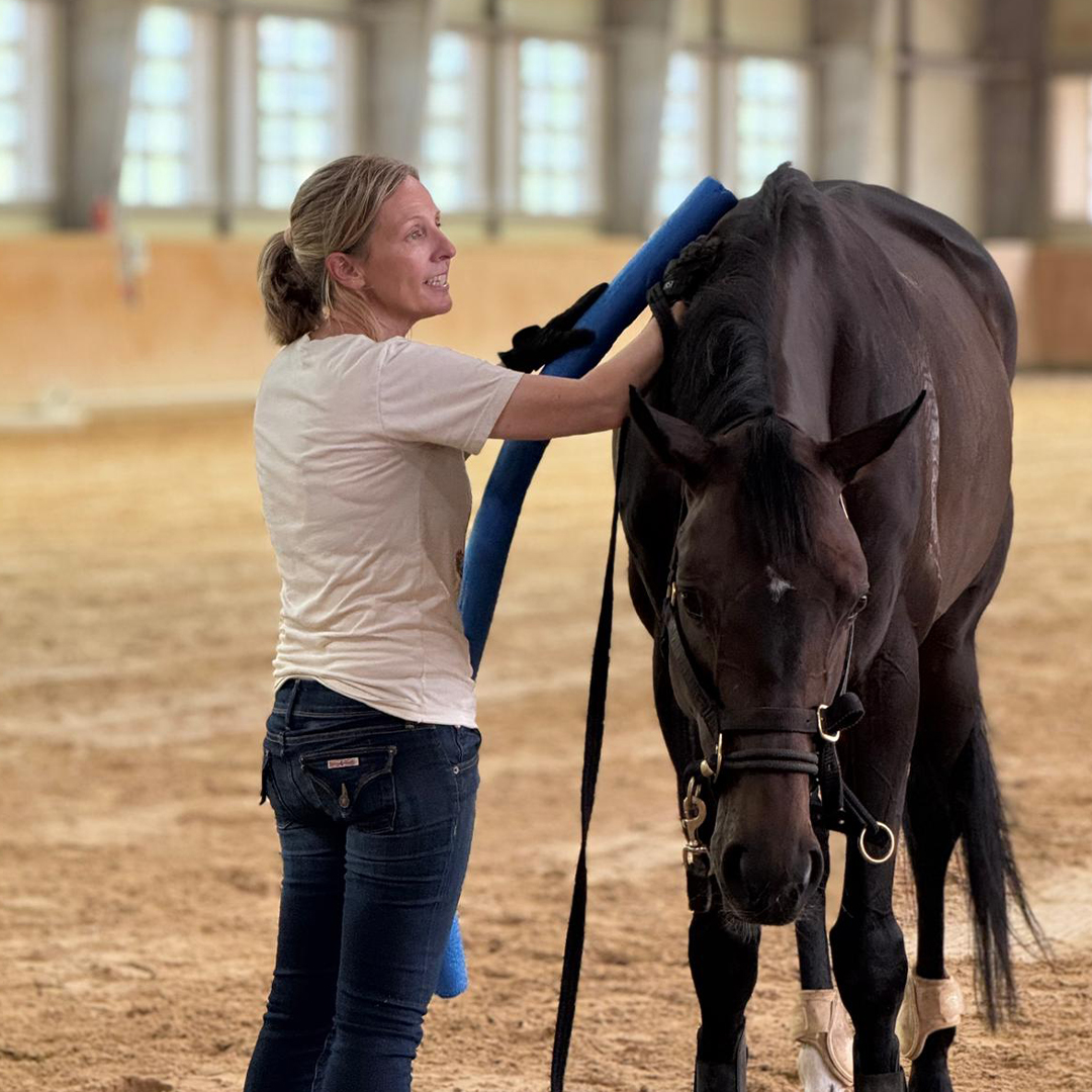 Photo from CJ's trip to South Korea - Day 4 (teaching hands-on demonstration)