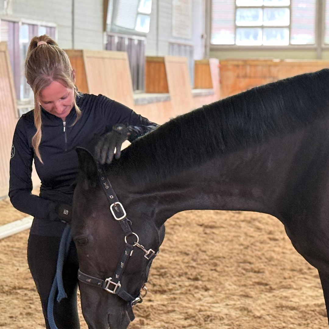 Photo from CJ's trip to South Korea - Day 5 (Hands on demonstration with horse)