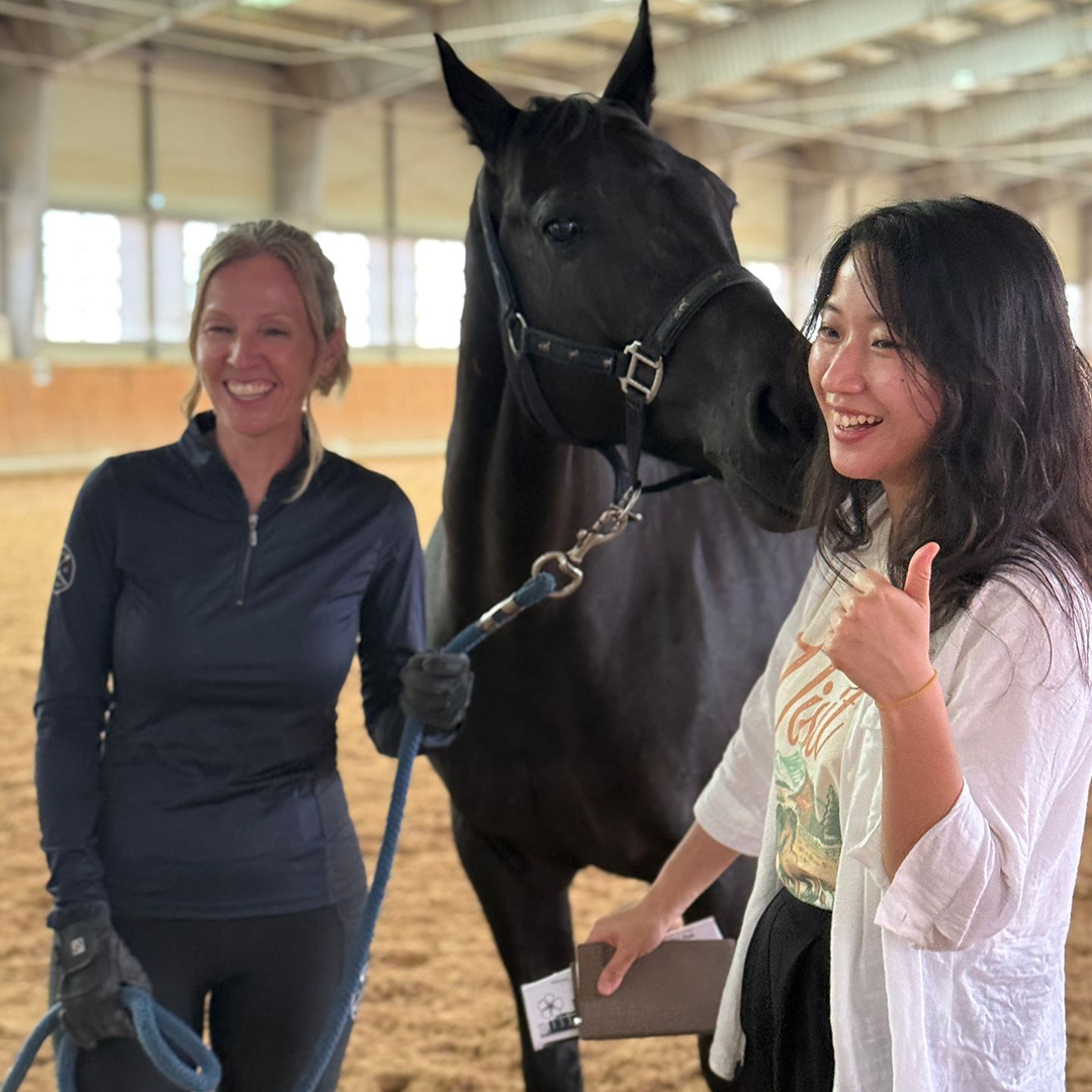 Photo from CJ's trip to South Korea - Day 5 (Hands on demonstration with horse)