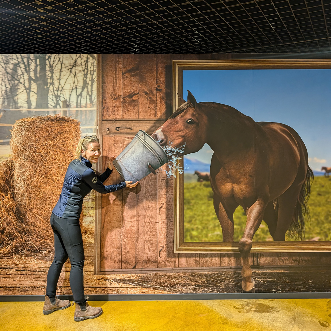 Photo from CJ's trip to South Korea - Day 5 (CJ at Equine Museum )