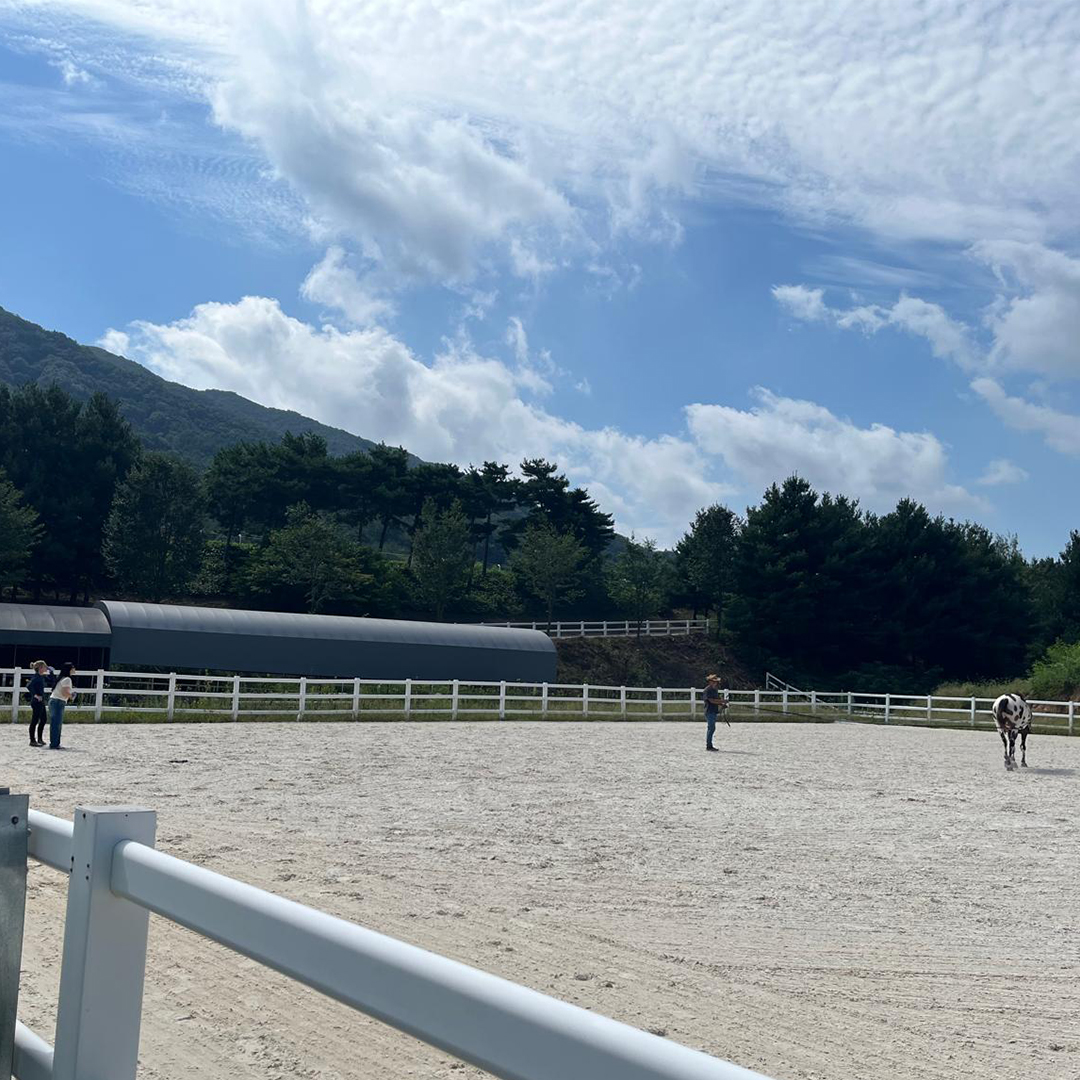 Photo from CJ's trip to South Korea - Day 7 (hands-on demonstration with horse)