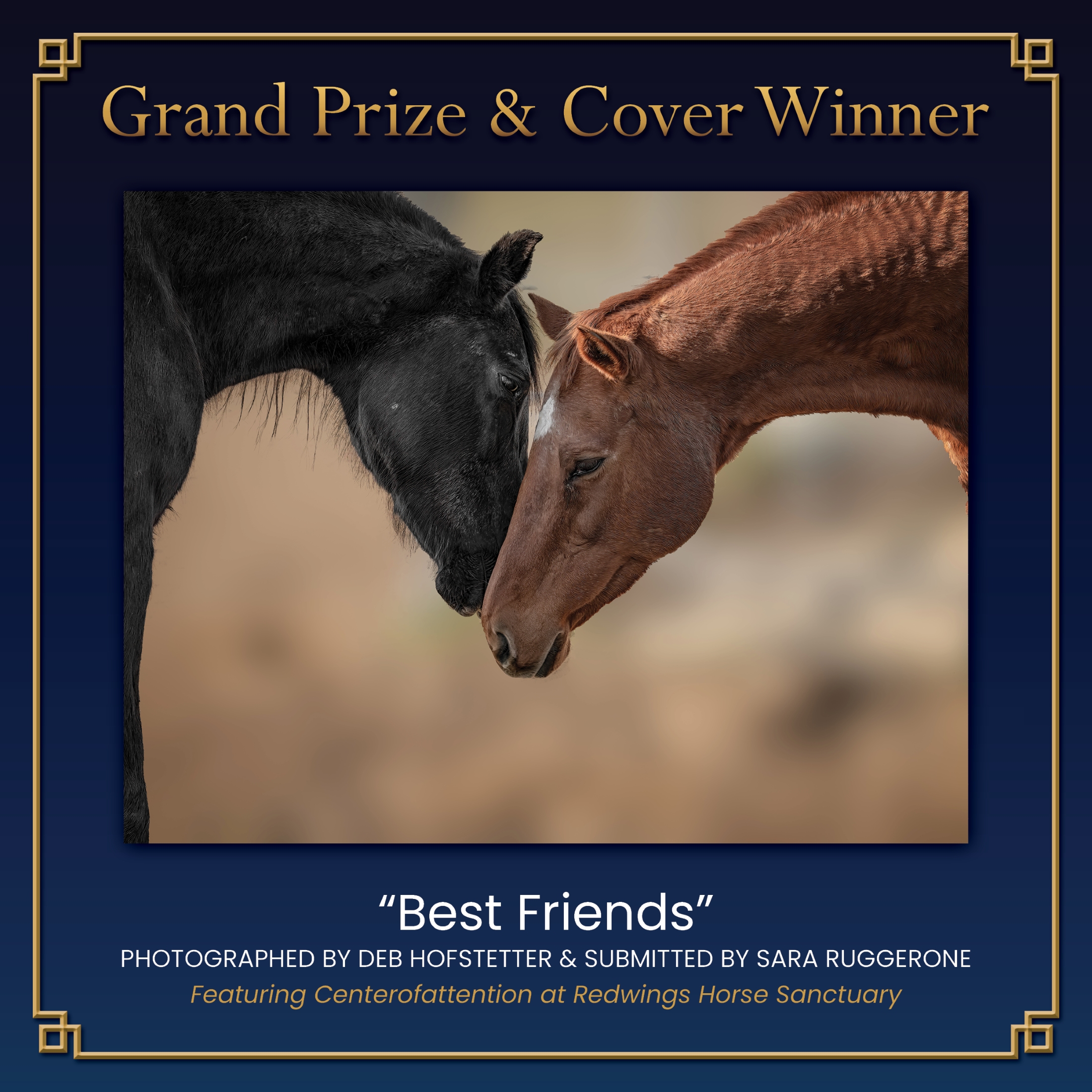 2026 Calendar Contest Cover Winner “Best Friends” photographed by Deb Hofstetter and submitted by Sara Ruggerone, featuring Centerofattention at Redwings Horse Sanctuary.