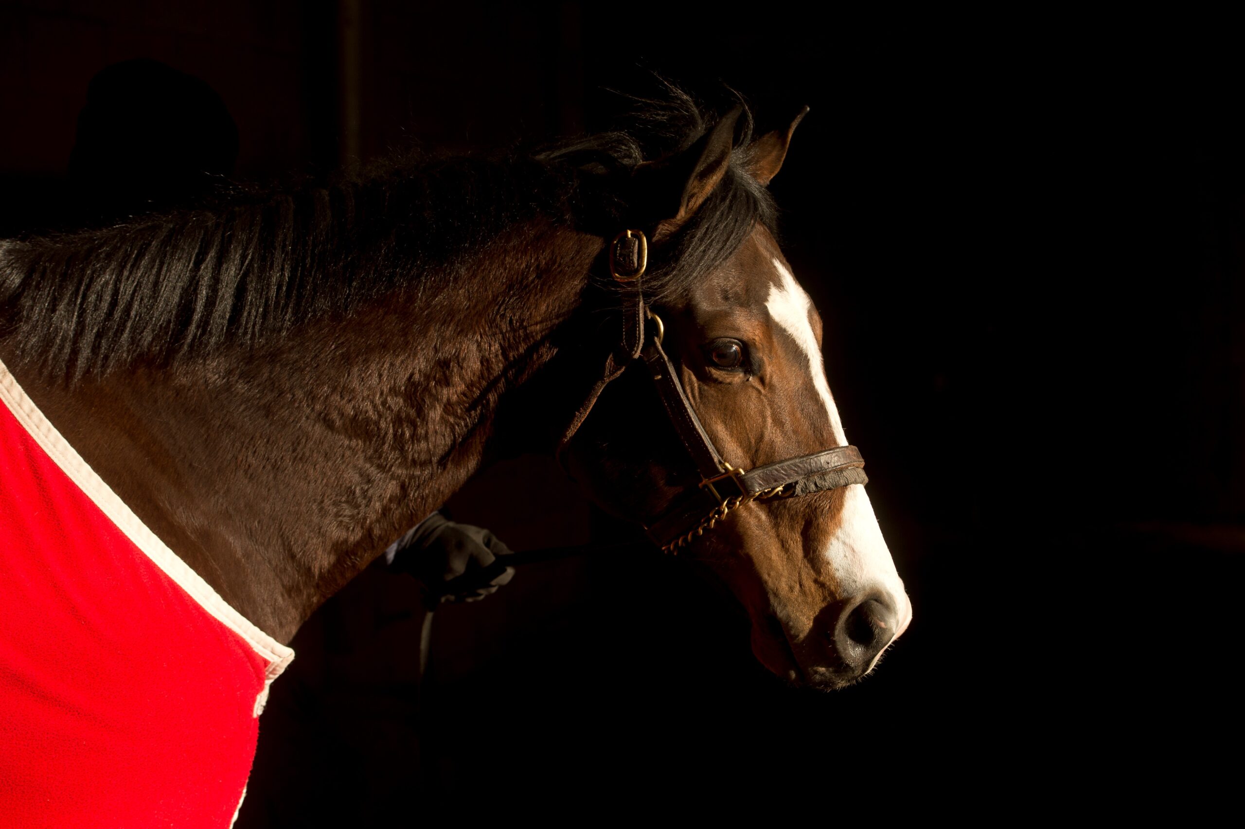 Woodbine to host Aftercare Day October 4