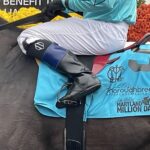 Thoroughbred Aftercare Alliance Recognized by Maryland Jockey Club During Maryland Million Day