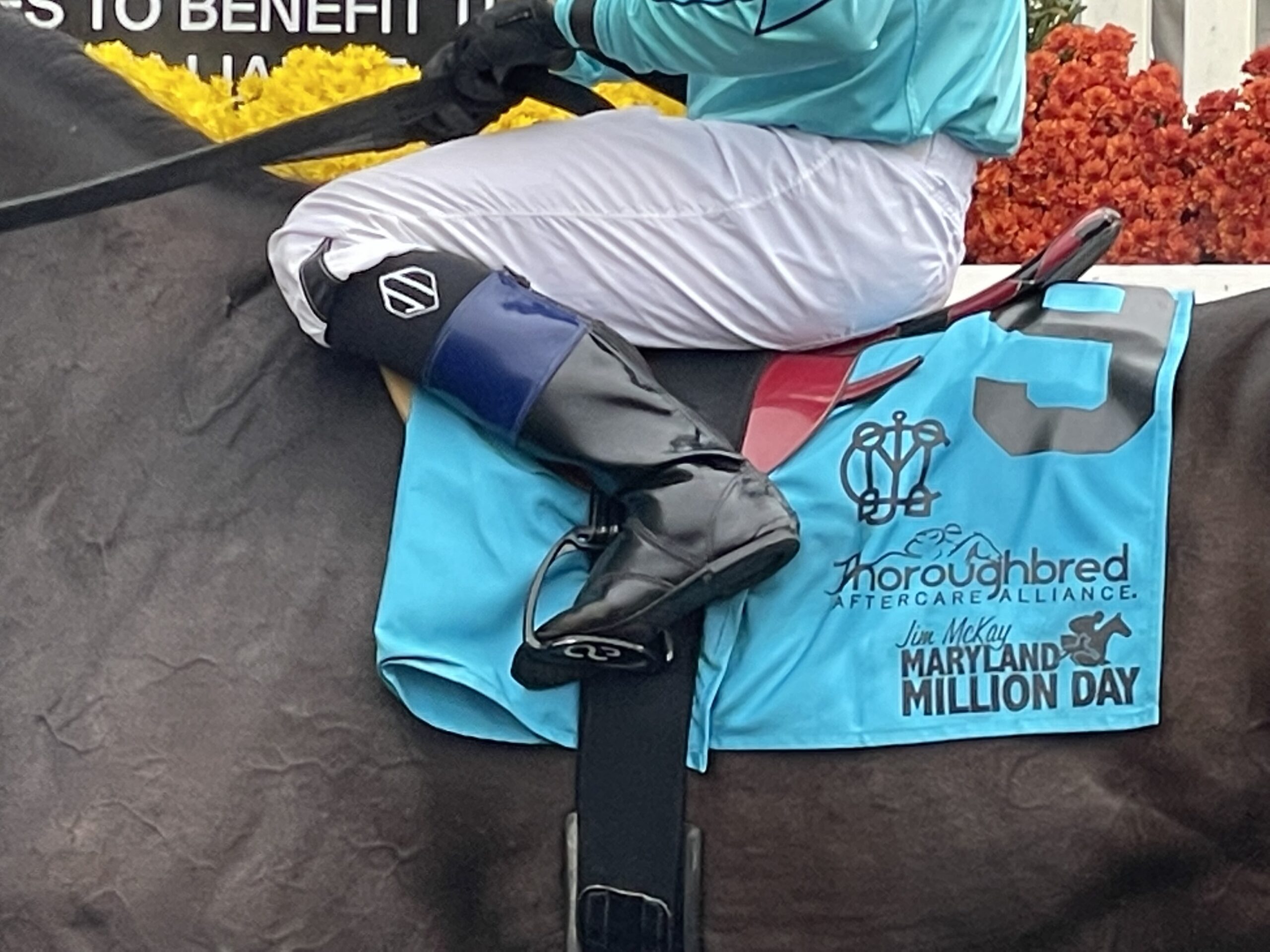 Maryland Million Saddle Pad