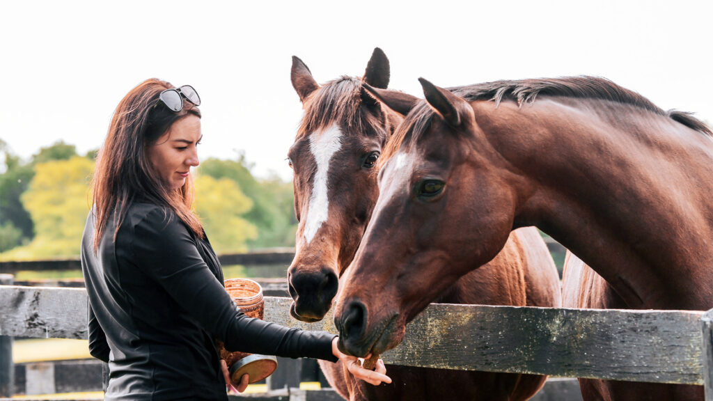 Crystal Wever pictured at Thoroughbred Aftercare Alliance accredited organization Virginia Thoroughbred Project.