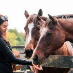 Thoroughbred Aftercare Alliance Accredits 49 Organizations