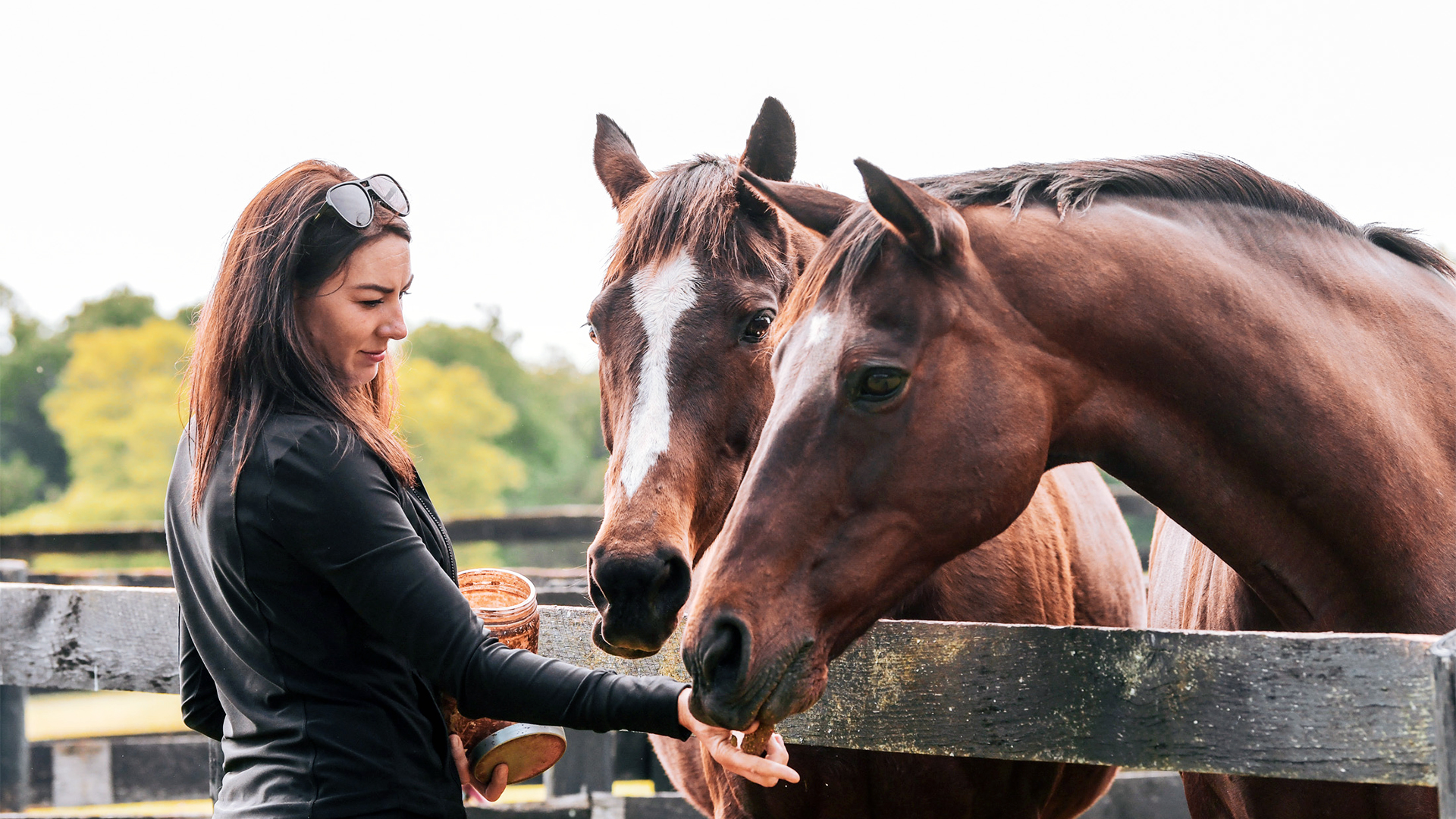 Crystal Wever pictured at Thoroughbred Aftercare Alliance accredited organization Virginia Thoroughbred Project.