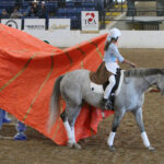 Thoroughbred Aftercare Alliance to Sponsor Freestyle Discipline at the Retired Racehorse Project’s Thoroughbred Makeover and National Symposium