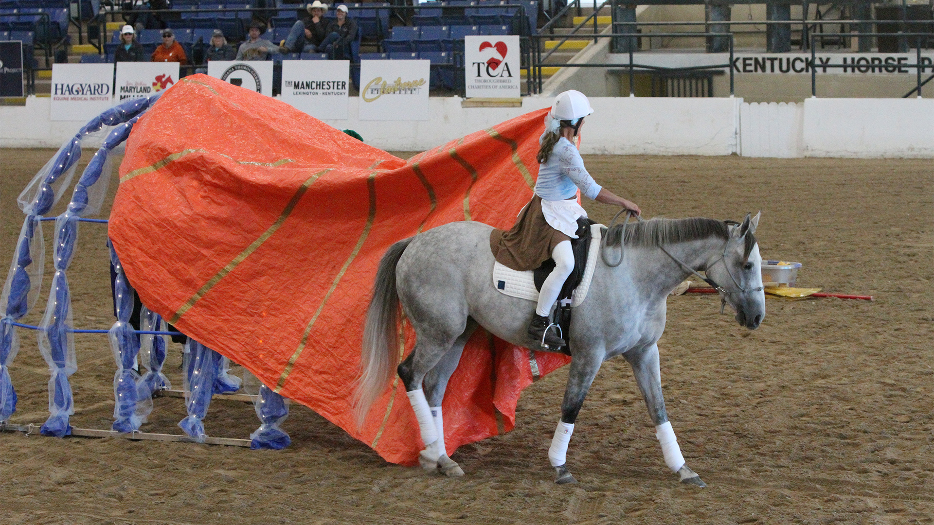 Thoroughbred in Freestyle Discipline at 2024 RRP Makeover