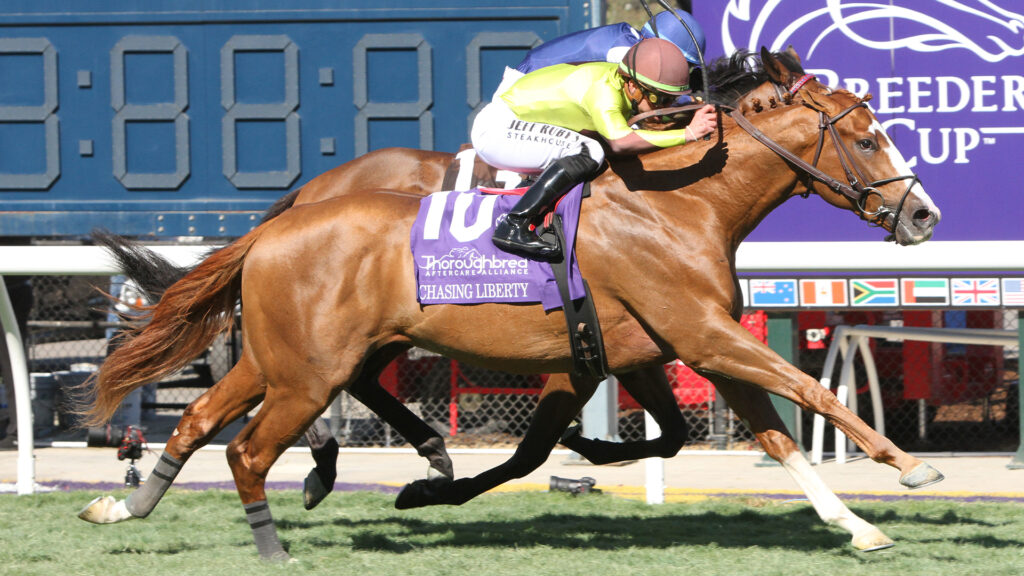 Chasing Liberty in Race 4, Thoroughbred Aftercare Alliance Stakes, at Del Mar on November 1, 2024, during last year's Breeders' Cup World Championships.
