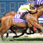 Thoroughbred Aftercare Alliance Present at Breeders’ Cup World Championships as Official Aftercare Partner