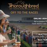 Thoroughbred Aftercare Alliance Announces 2026 Off to the Races Online Benefit Auction