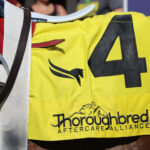 Fountain of Youth Weekend Features Thoroughbred Aftercare Alliance Named Race
