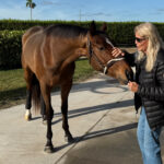 The Importance of Racetrack Placement Programs for Retiring Thoroughbreds