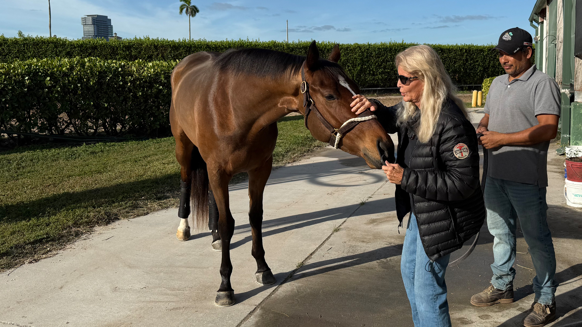The Importance of Racetrack Placement Programs for Retiring Thoroughbreds