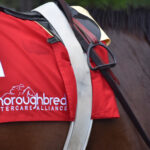 Thoroughbred Aftercare Alliance Honored with Race at Texas Champions Day