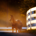 North American Sales Companies and Leading Stallion Farms Expand Commitment to Thoroughbred Aftercare Alliance