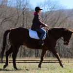 Luck With a Kiss: A Volunteer’s Unexpected Adoption