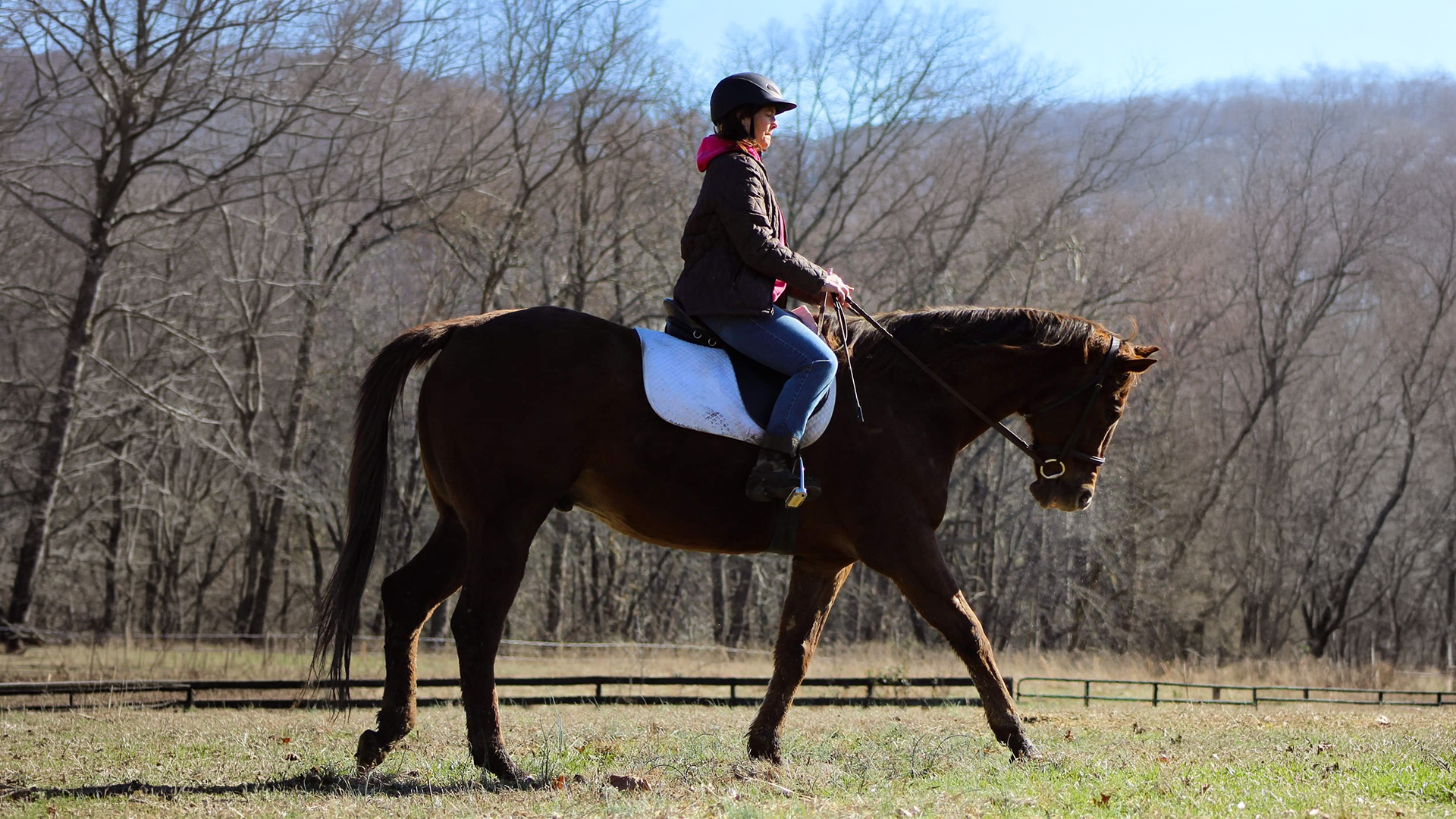 Luck With a Kiss: A Volunteer’s Unexpected Adoption