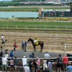 Thoroughbred Aftercare Alliance Joins Empire of Hope Day Celebration at Horseshoe Indianapolis