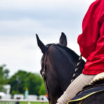 Thoroughbred Aftercare Alliance On-Site Preakness Week