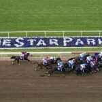 Lone Star Park to Spotlight Aftercare with VIP Experience and Thoroughbred Aftercare Alliance Named Race
