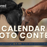 Thoroughbred Aftercare Alliance Announces Sixth Annual Calendar Photo Contest